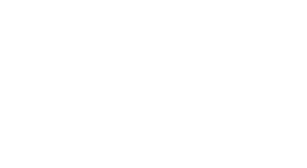 Logo Holy