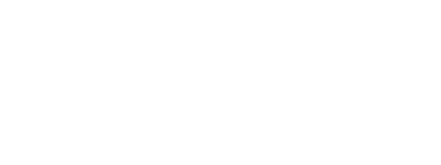 Logo Pépite France